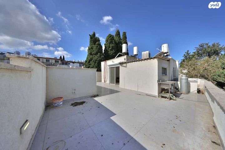 דירה, ברזילי, חיפה