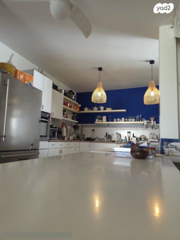 גג/ פנטהאוז, מרכז, הרצליה