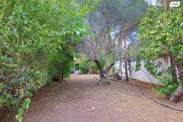 בית פרטי/ קוטג', הורדים, רמת פולג, נתניה