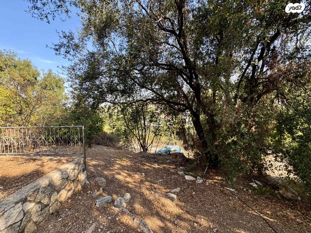 דו משפחתי, טבעון הוותיקה, קרית טבעון