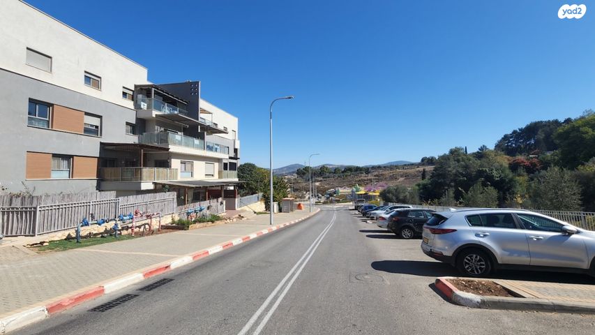 דירה, מצדה, אורנים, מעלות תרשיחא