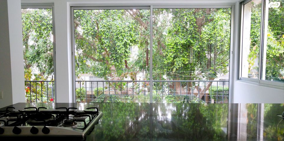 דירה, עמנואל הרומי, הצפון הישן - צפון, תל אביב יפו