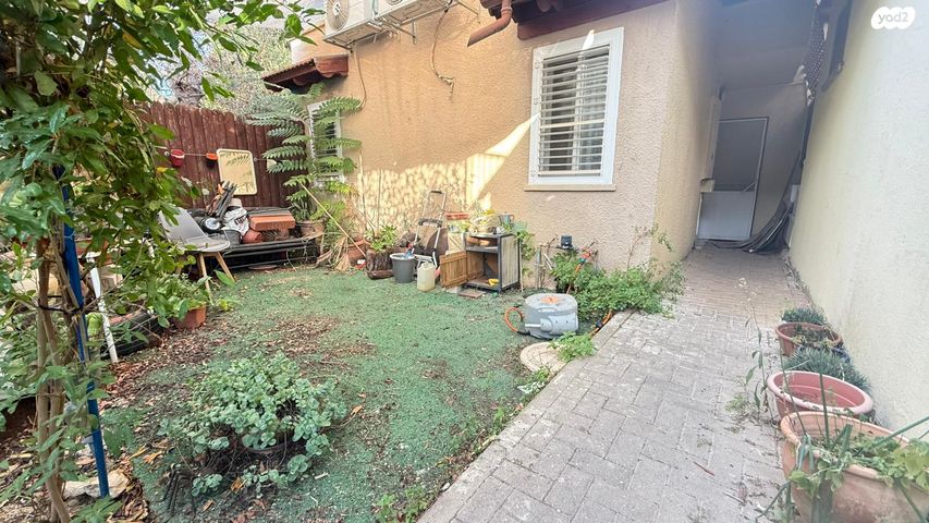 מעלה הנרקיסים 