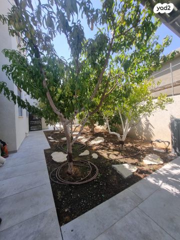 בית פרטי/ קוטג', אופקים