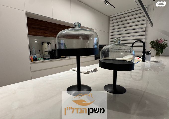 דירה, משה לוי, רמלה