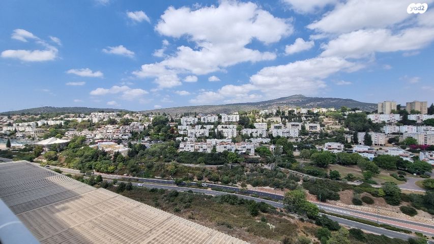 גבעת כלניות