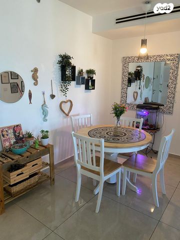 דירה, הנבל, שמשון, חדרה הצעירה, חדרה