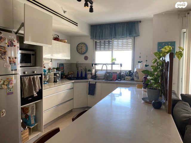 דירה, הנבל, שמשון, חדרה הצעירה, חדרה