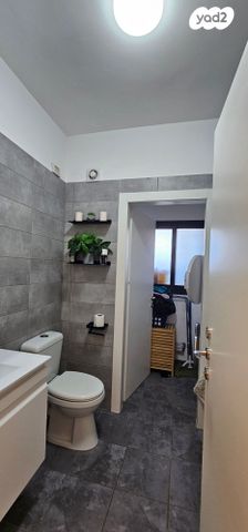 דירת גן, עץ המשאלות, אדמית / יערית, שלומי