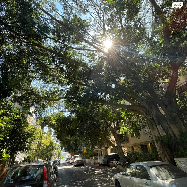 לב תל אביב, לב העיר צפון