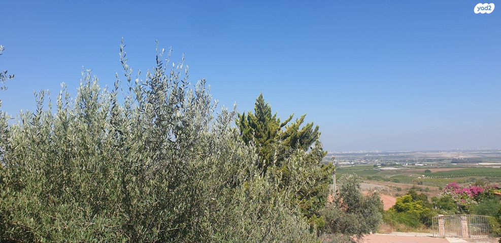 בית פרטי/ קוטג'