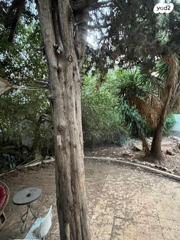 דירת גן, הרב מיימון, נווה שאנן, חיפה