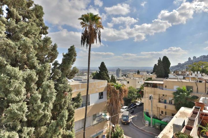 דירה, ברזילי, חיפה