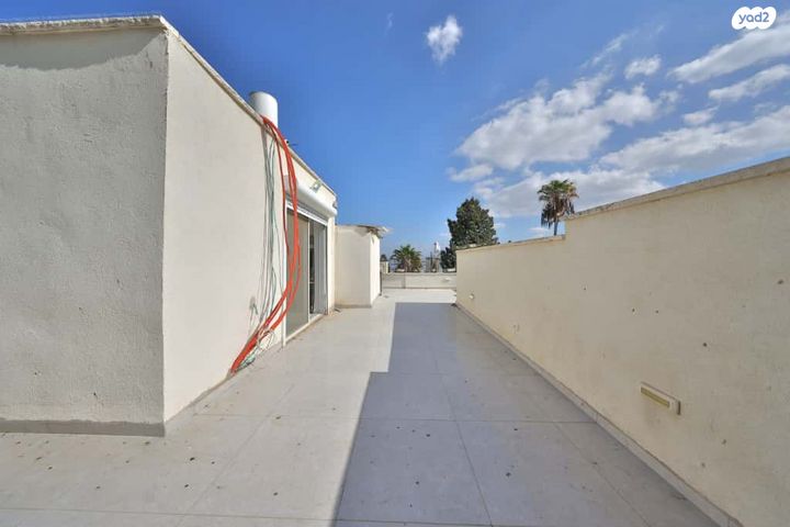 דירה, ברזילי, חיפה