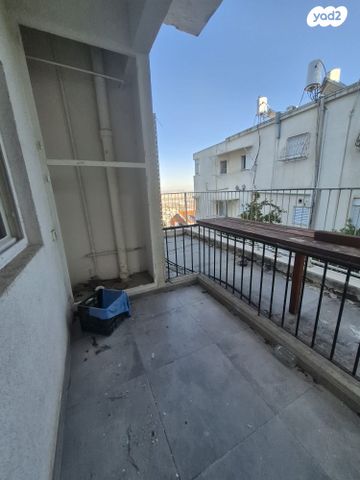 דירה, מצפה, חיפה