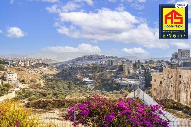 דירה, מאיר נקר, ארמון הנציב, תלפיות מזרח, ירושלים