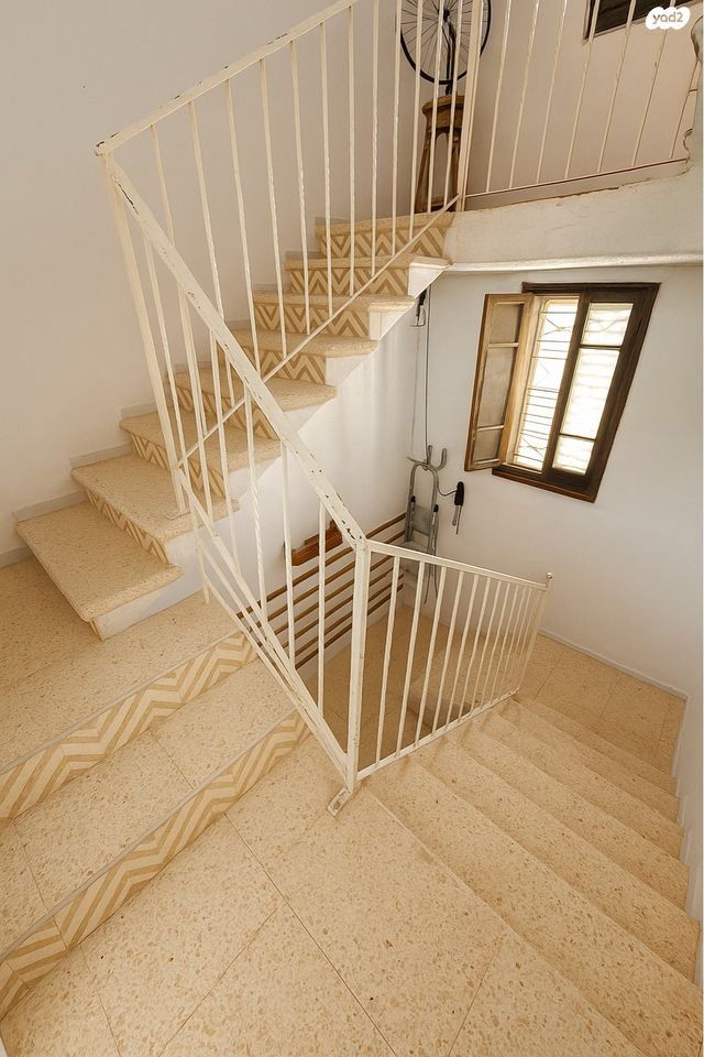 דופלקס, מיצקביץ', מכללת תל אביב יפו, דקר, תל אביב יפו