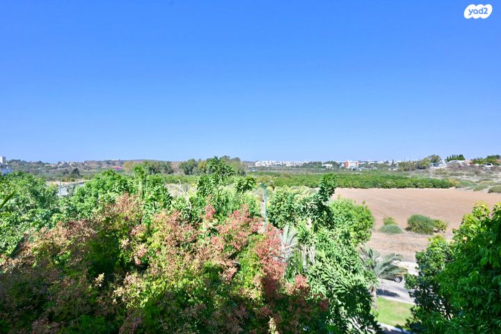 דירה, וואלי, העמק, נס ציונה