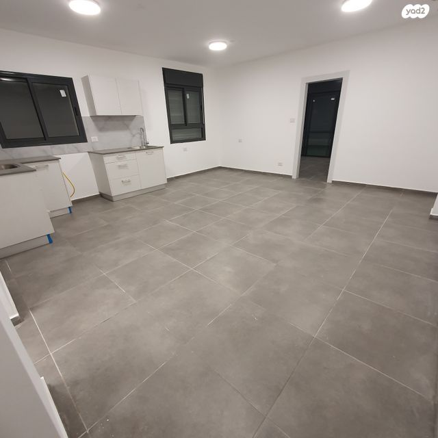 אבנר חי שאקי 