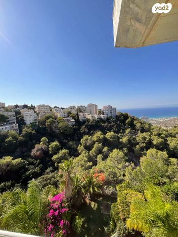 דירה, מנחם בייליס, כרמליה, חיפה