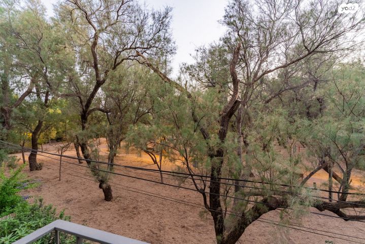 דירה, הרוגי מלכות, תל אביב יפו