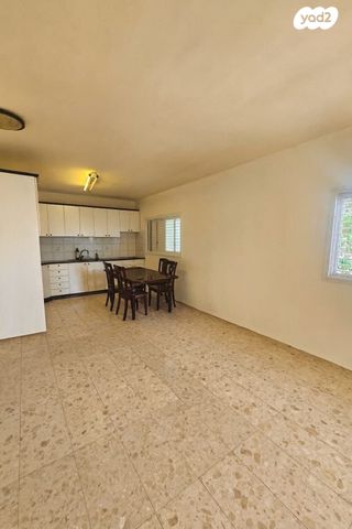 אריה בן אליעזר 