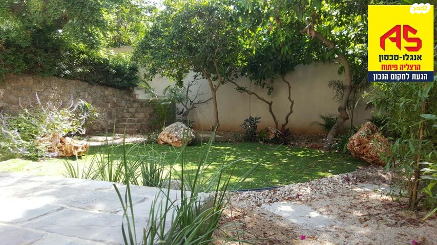 הרצליה פיתוח