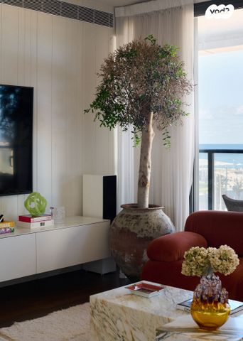 דירה, כרם התימנים, תל אביב יפו