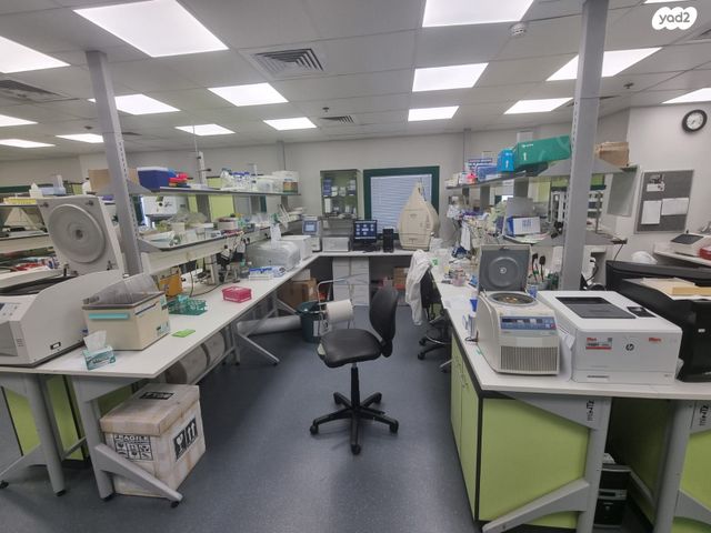 משרדים, רחובות