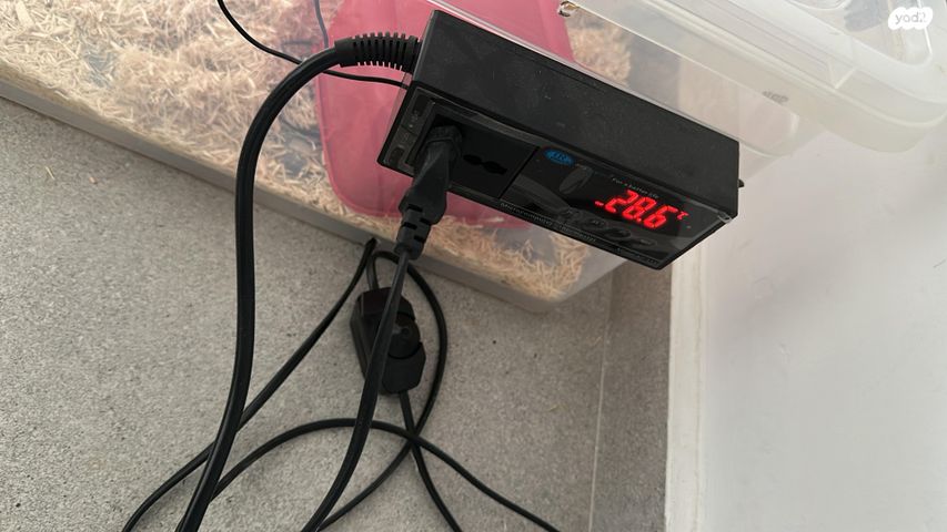 תמונת מודעה - חיות מחמד