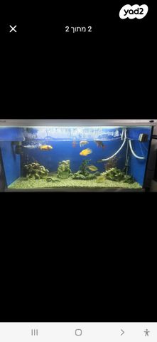 תמונת מודעה - חיות מחמד