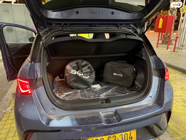 בי.ווי.די דולפין