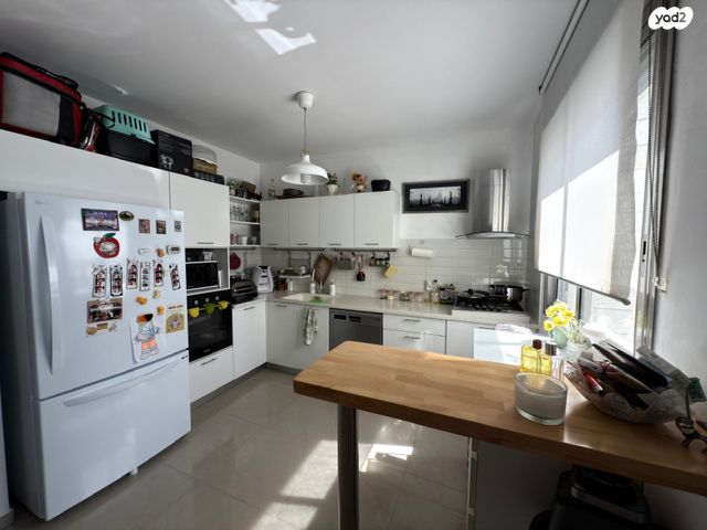 נתן אלתרמן 2