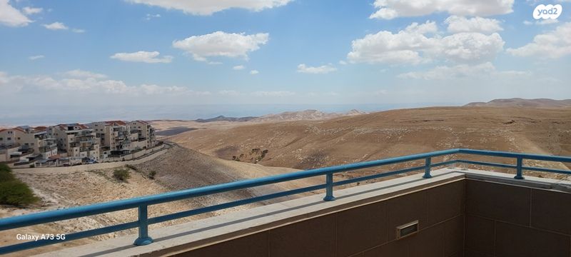 דירה, העירית 36, צמח השדה, מעלה אדומים