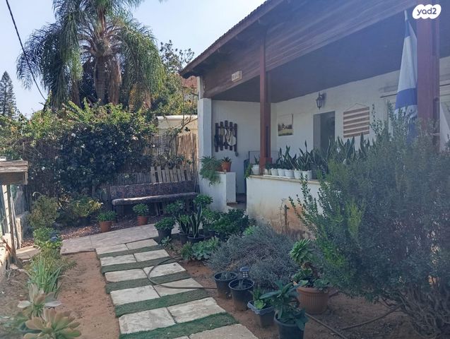 א.ד. גורדון 6