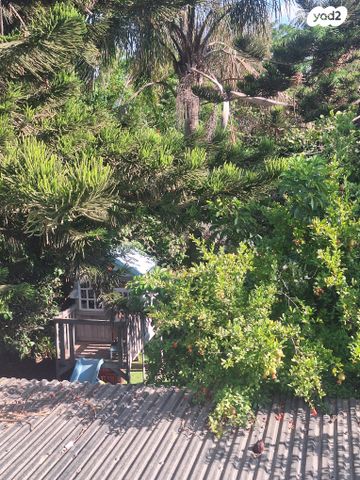 בית פרטי/ קוטג', סמטת הרדוף 116, הצמרות, קיסריה