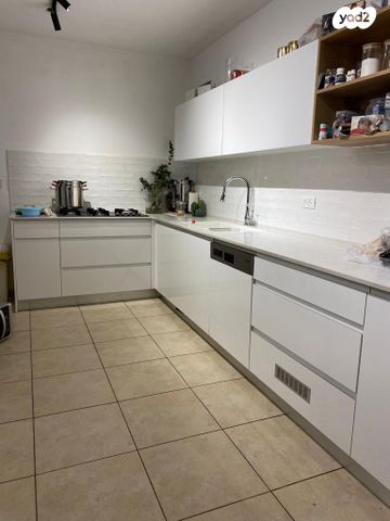 יעקב פלומניק 4