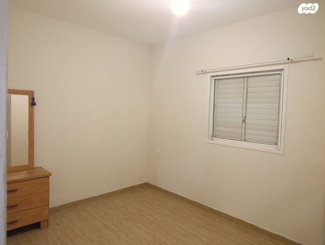 אריה רובין 19