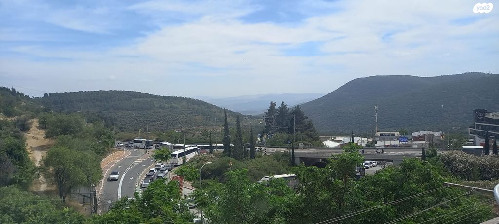 דוד אלעזר 35