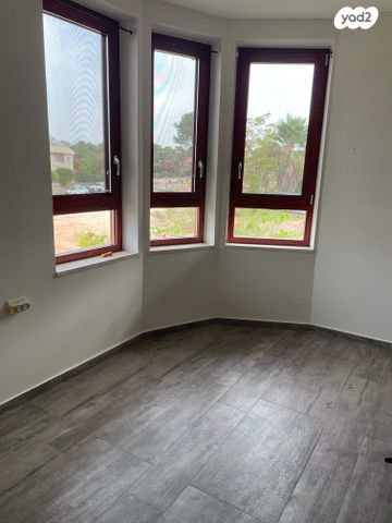 אריה קרסיקוב 5