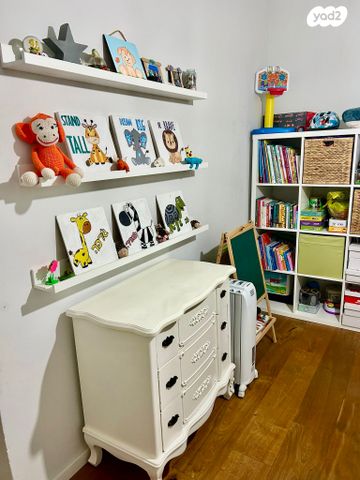 דירה, כרמל, אחוזת הנשיא, רחובות