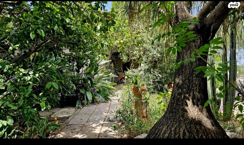 משק חקלאי/ נחלה, המייסדים, בת שלמה