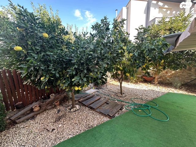 בית פרטי/ קוטג', שוהם, סביונים, מעלות תרשיחא