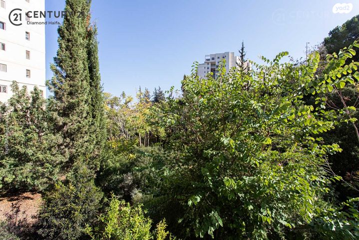 דירה, חלמיש, רמת אלמוגי, חיפה