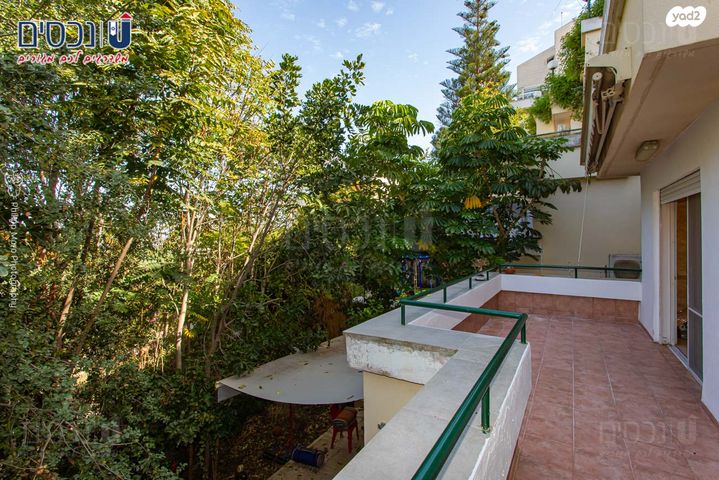 דירת גן, אלברט איינשטיין, אחוזה, חיפה