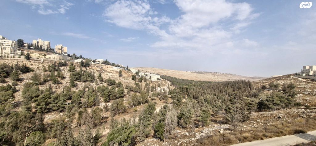 אורי בן ארי 