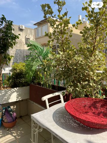 הצפון הישן - דרום