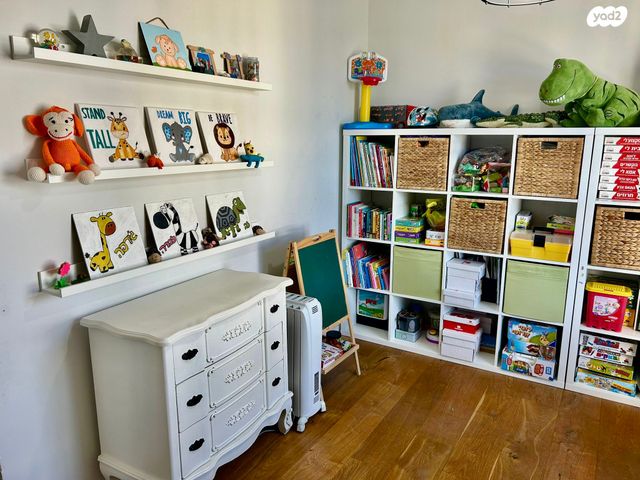 דירה, כרמל, אחוזת הנשיא, רחובות