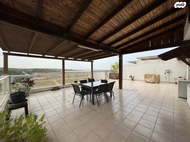 דוד בן גוריון 