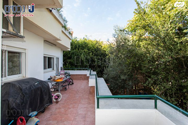 אלברט איינשטיין 